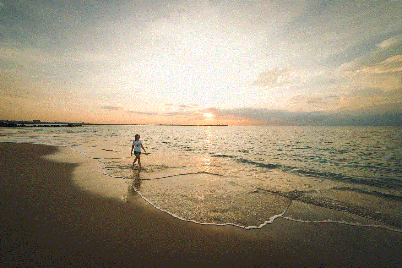 Beach Model