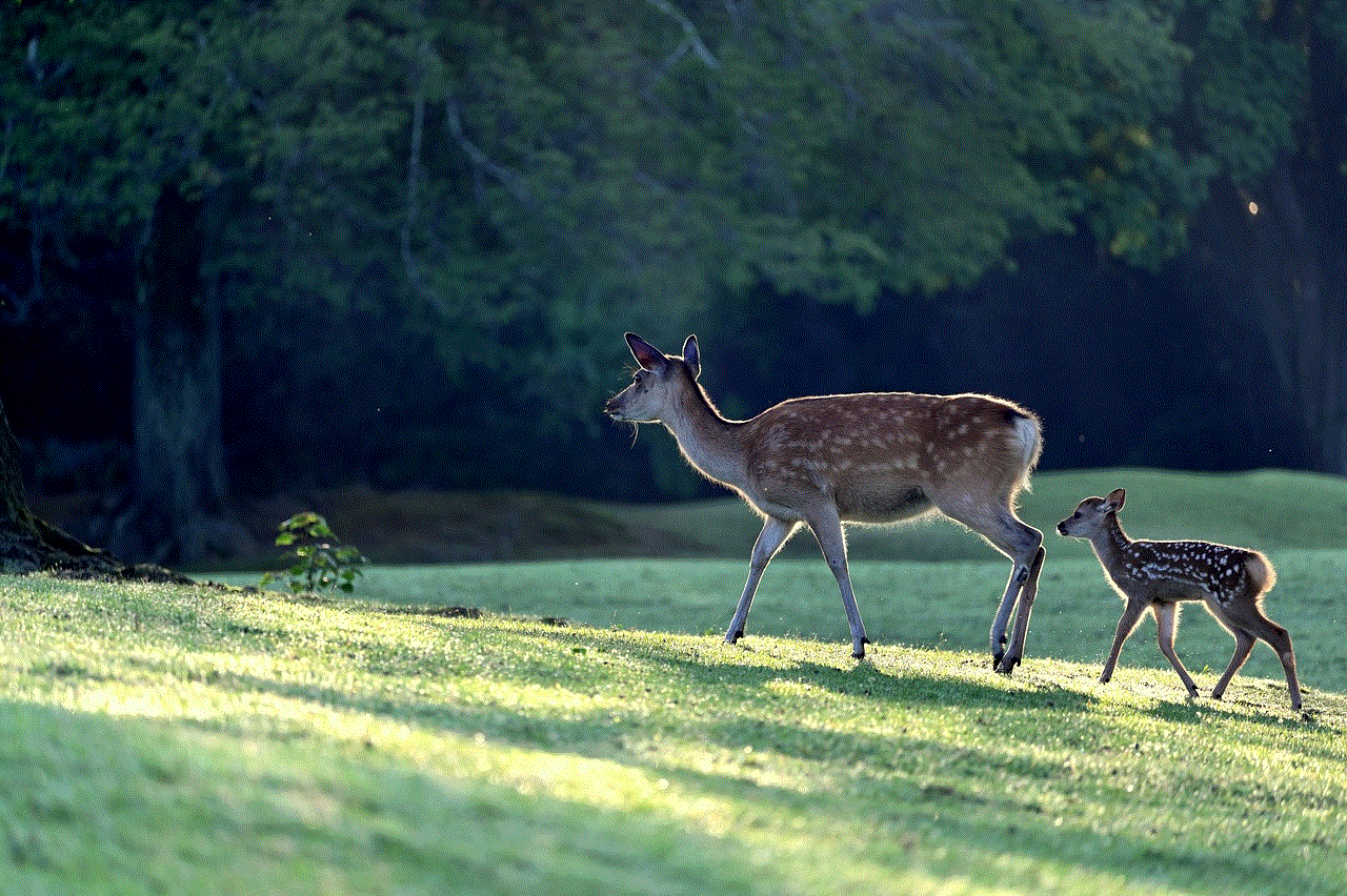 Deer Parent Child