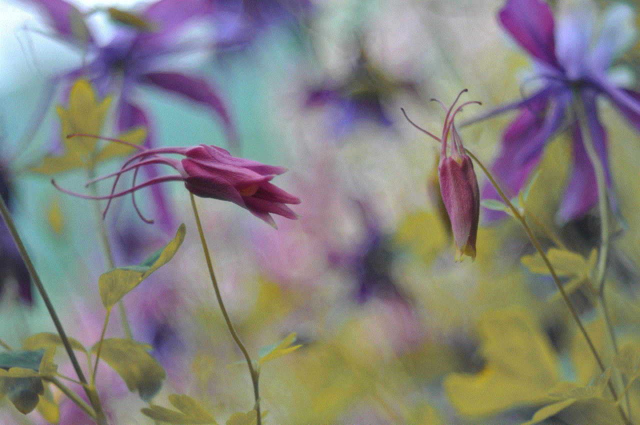 Flowers Leaves