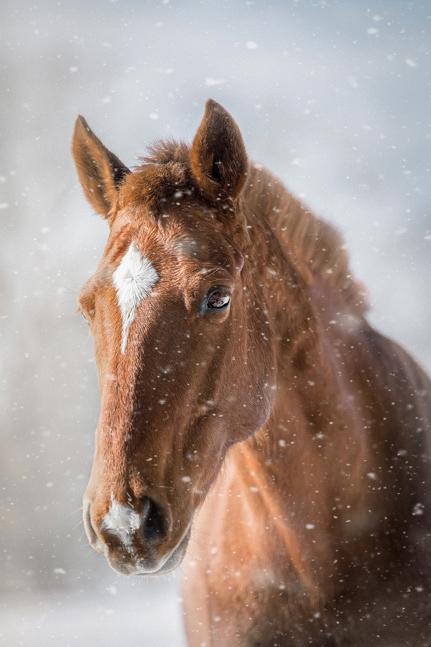 Horse Horse Head