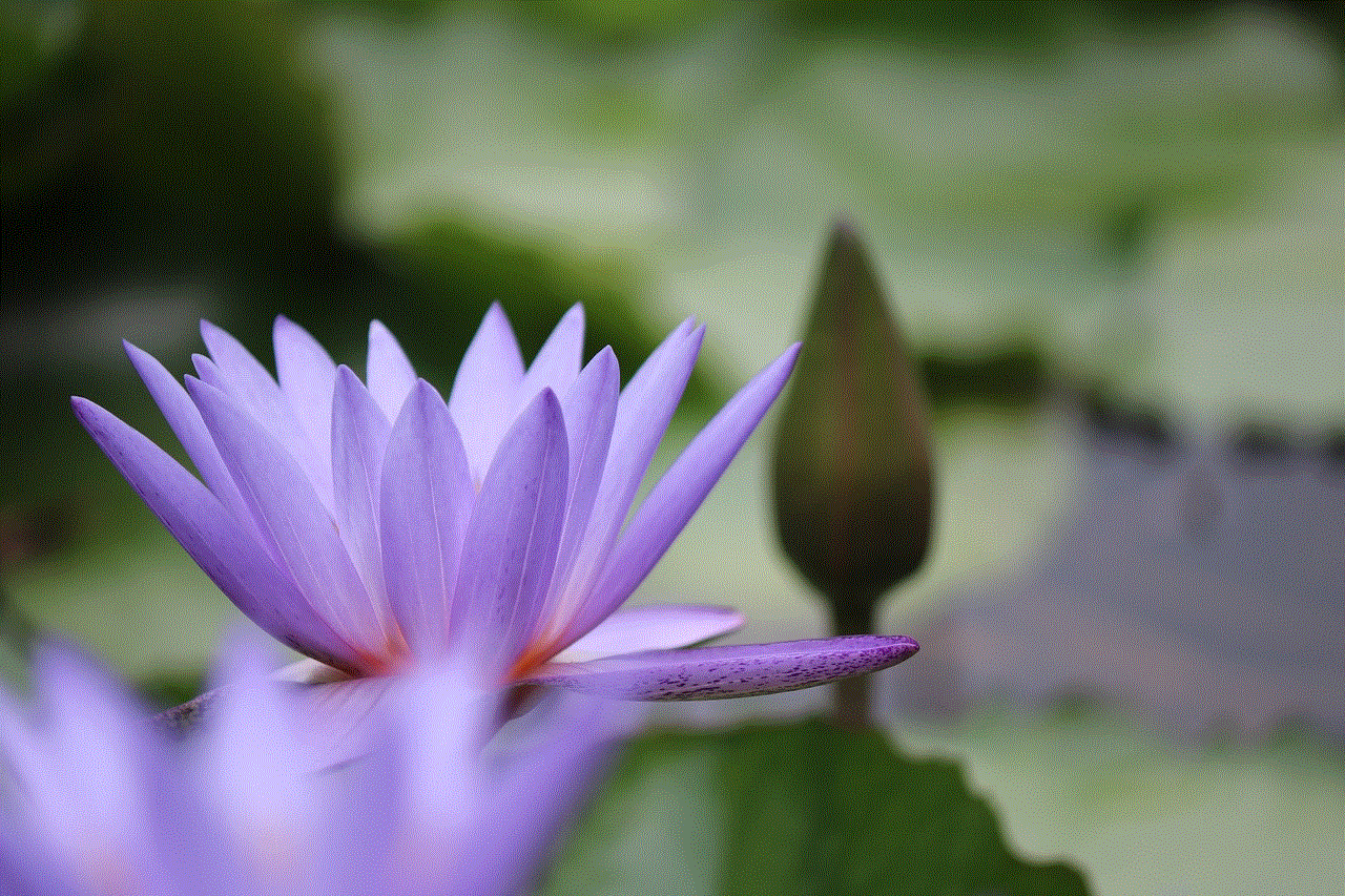 Flower Lotus