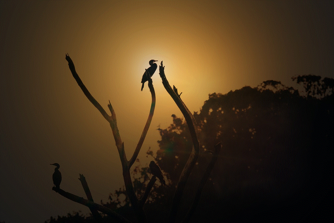 Bird Silhouette