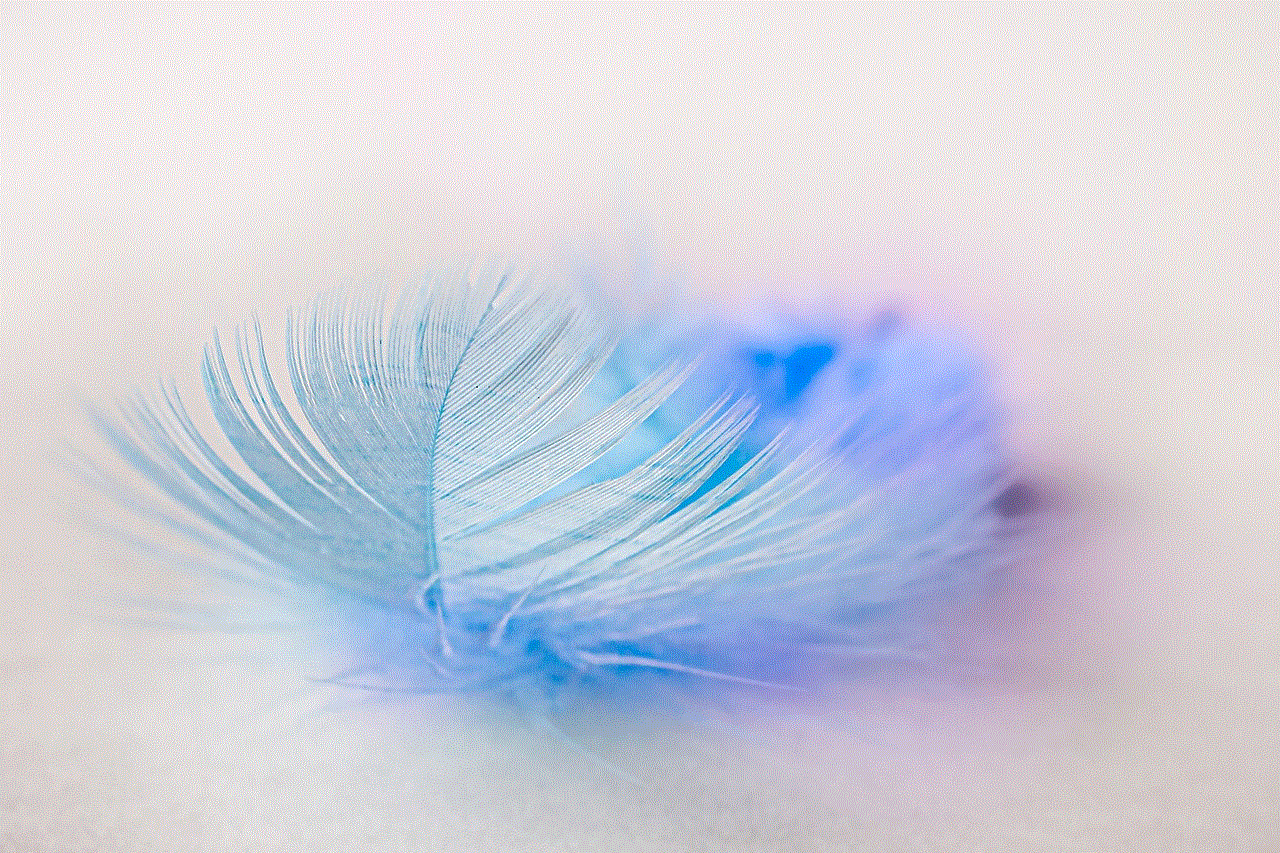 Bird Feather Feather