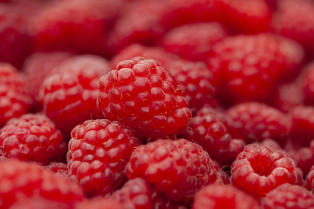 Raspberry Fruit