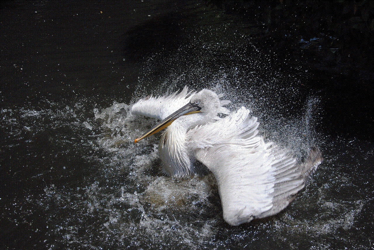 Pelican Flapping