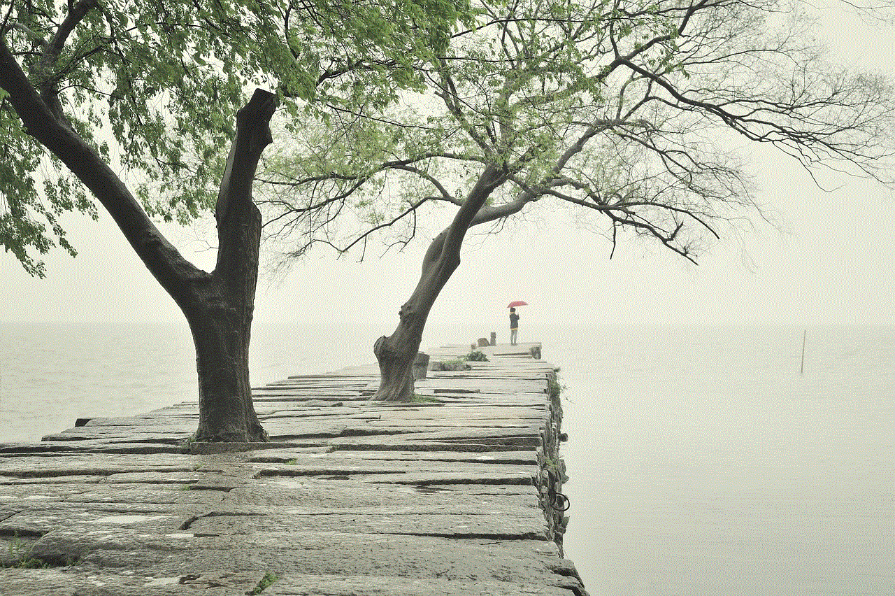 Pier Rain