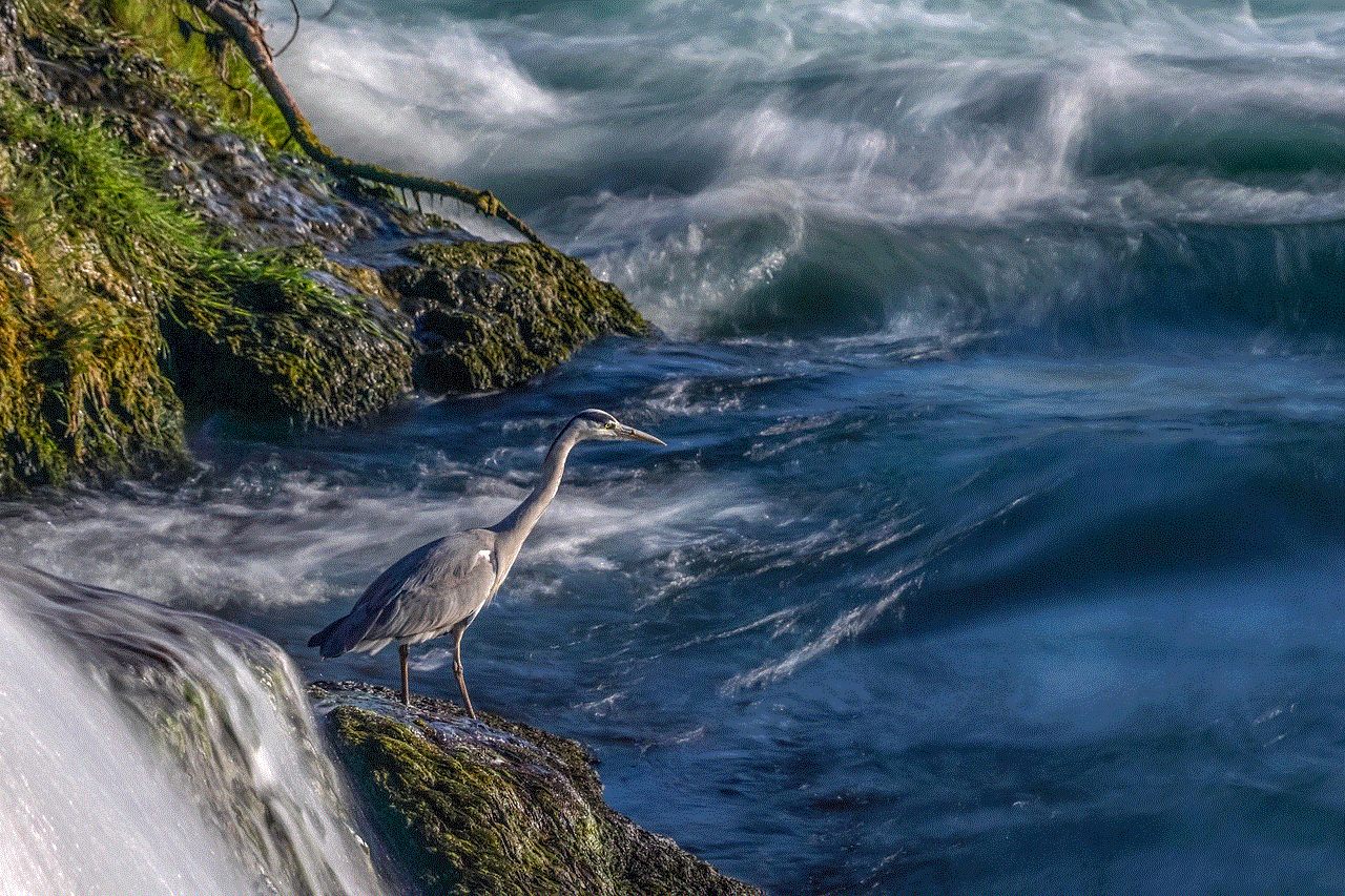 Heron Attentive