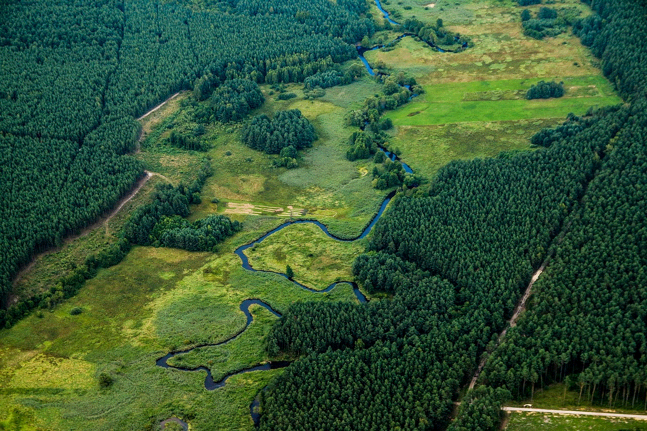 River Landscape