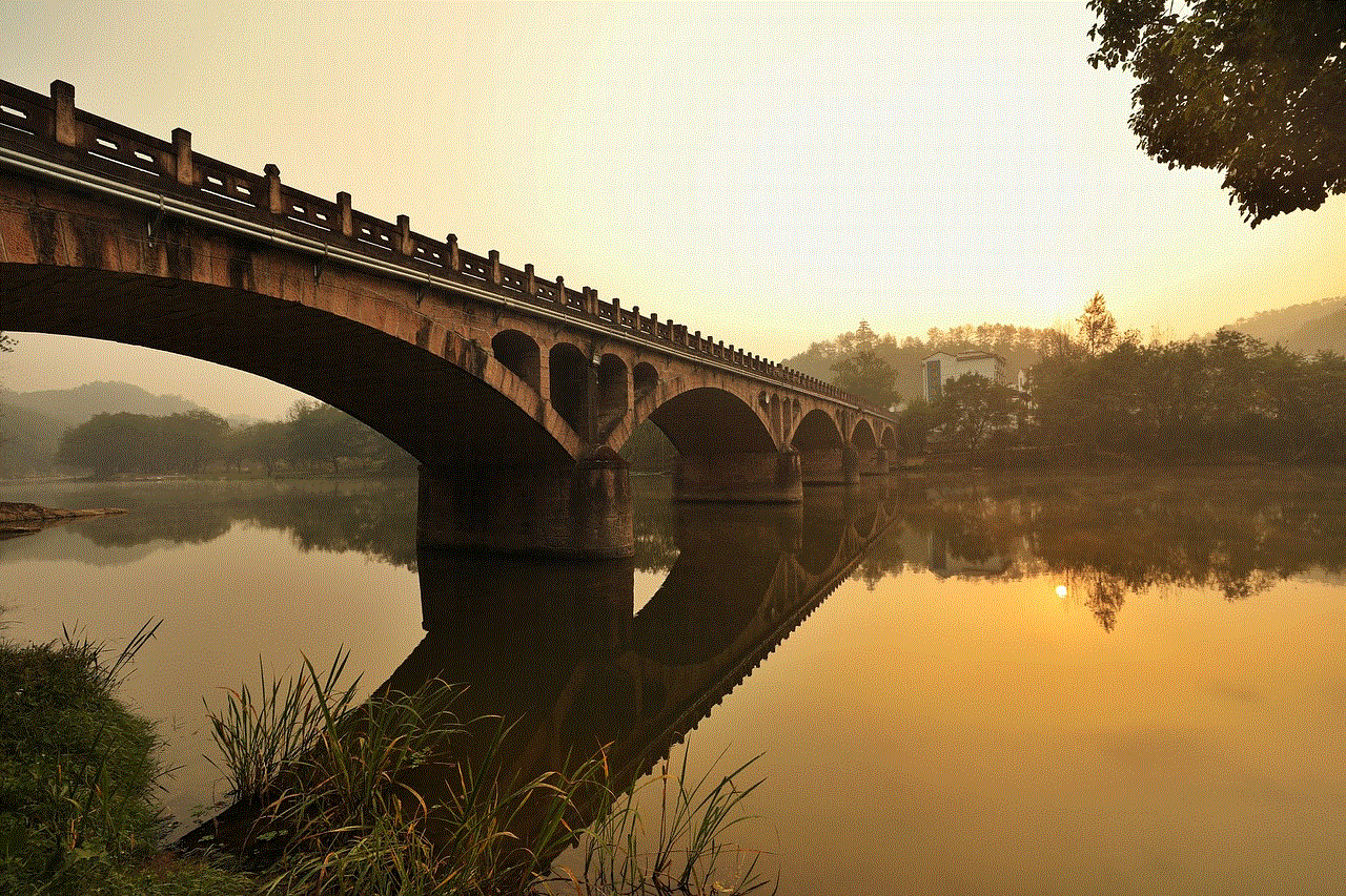 Bridge Nature