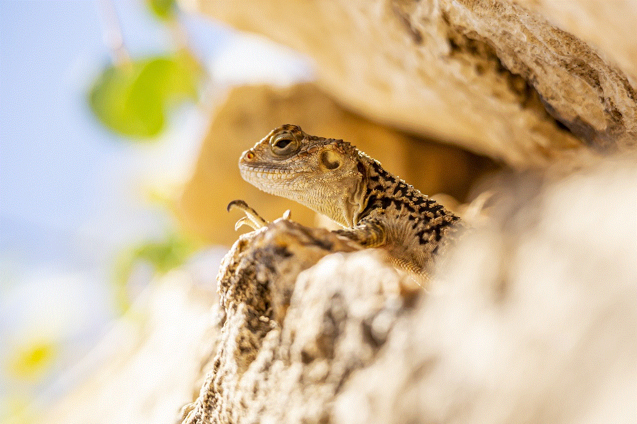 Rock Lizard