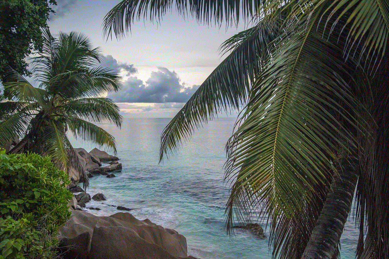 Seychelles Landscape