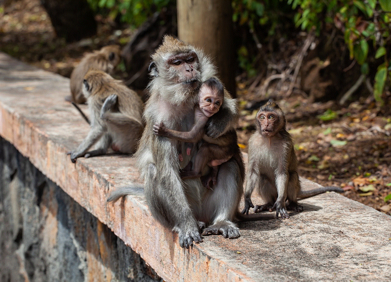 Long Tailed Macaque Crab-Eating Macaque