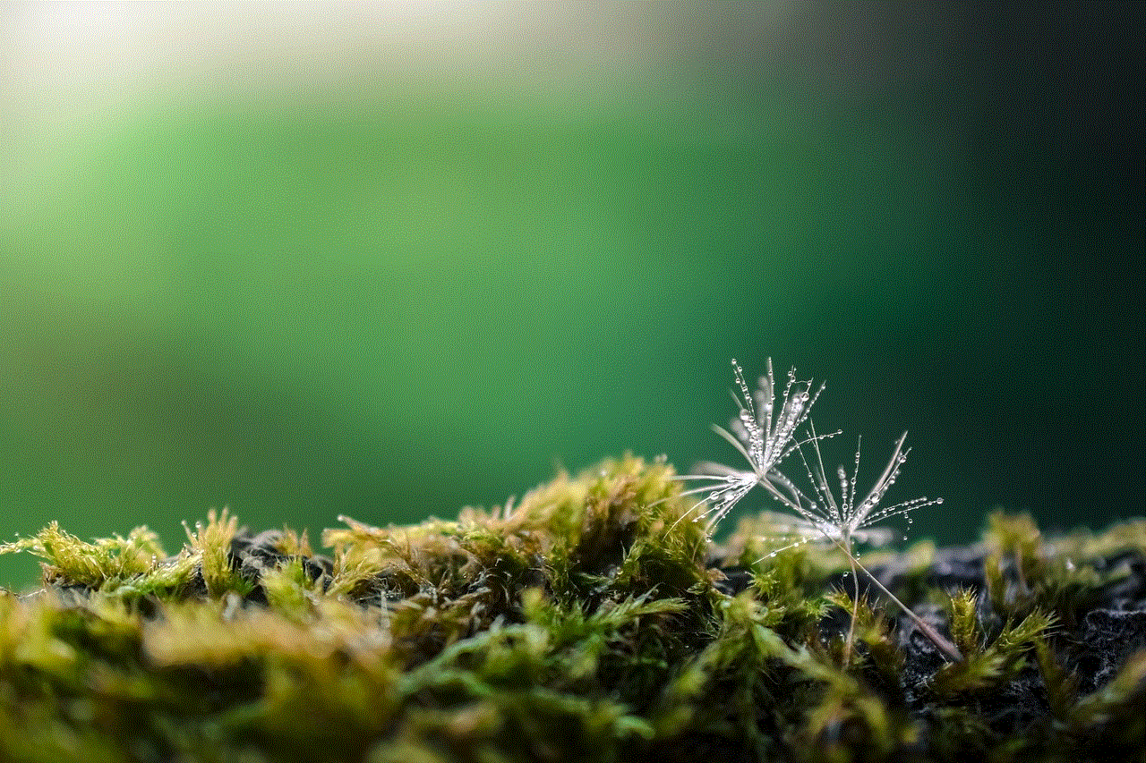 Dandelion Seeds