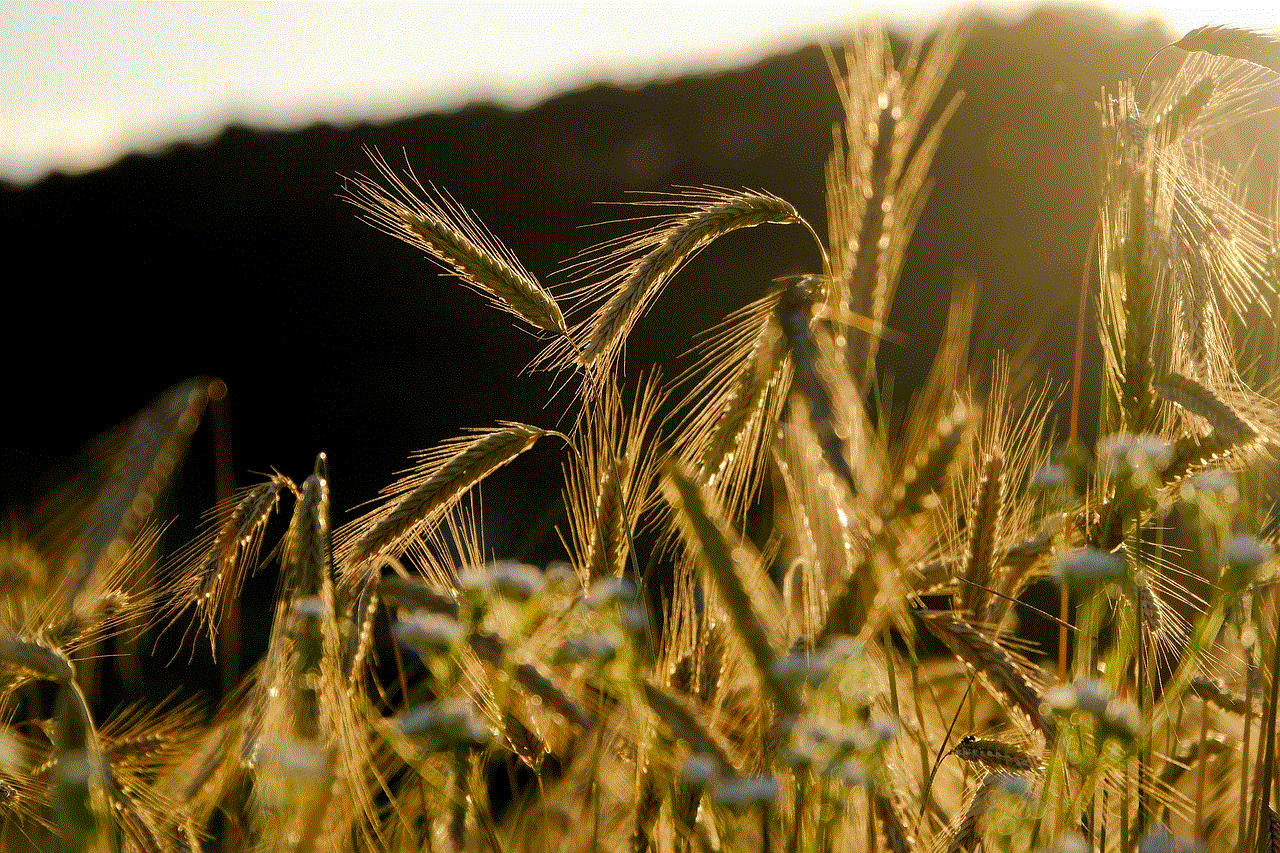 Rye Spike