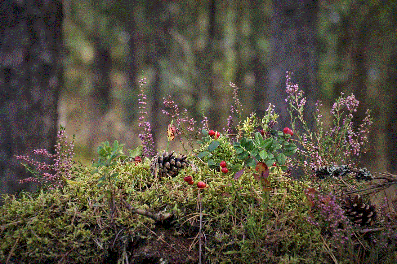 Moss Plants