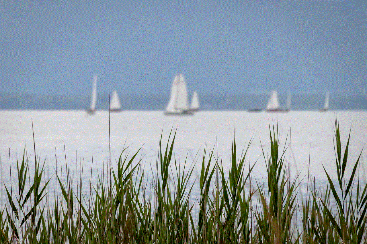 Sailboats Lake