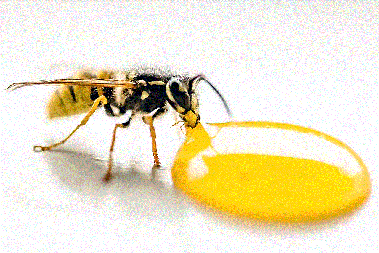 Wasp Drinking