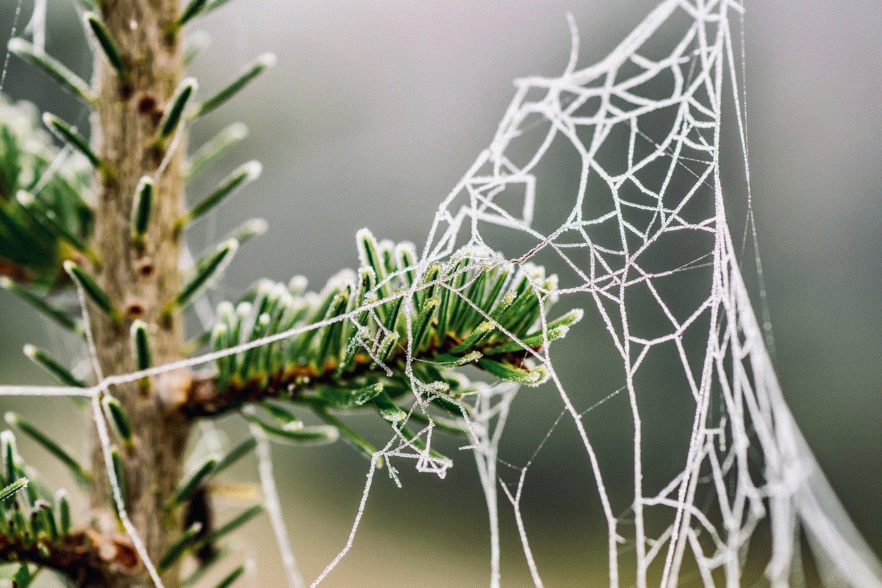 Cobweb Fir Tree