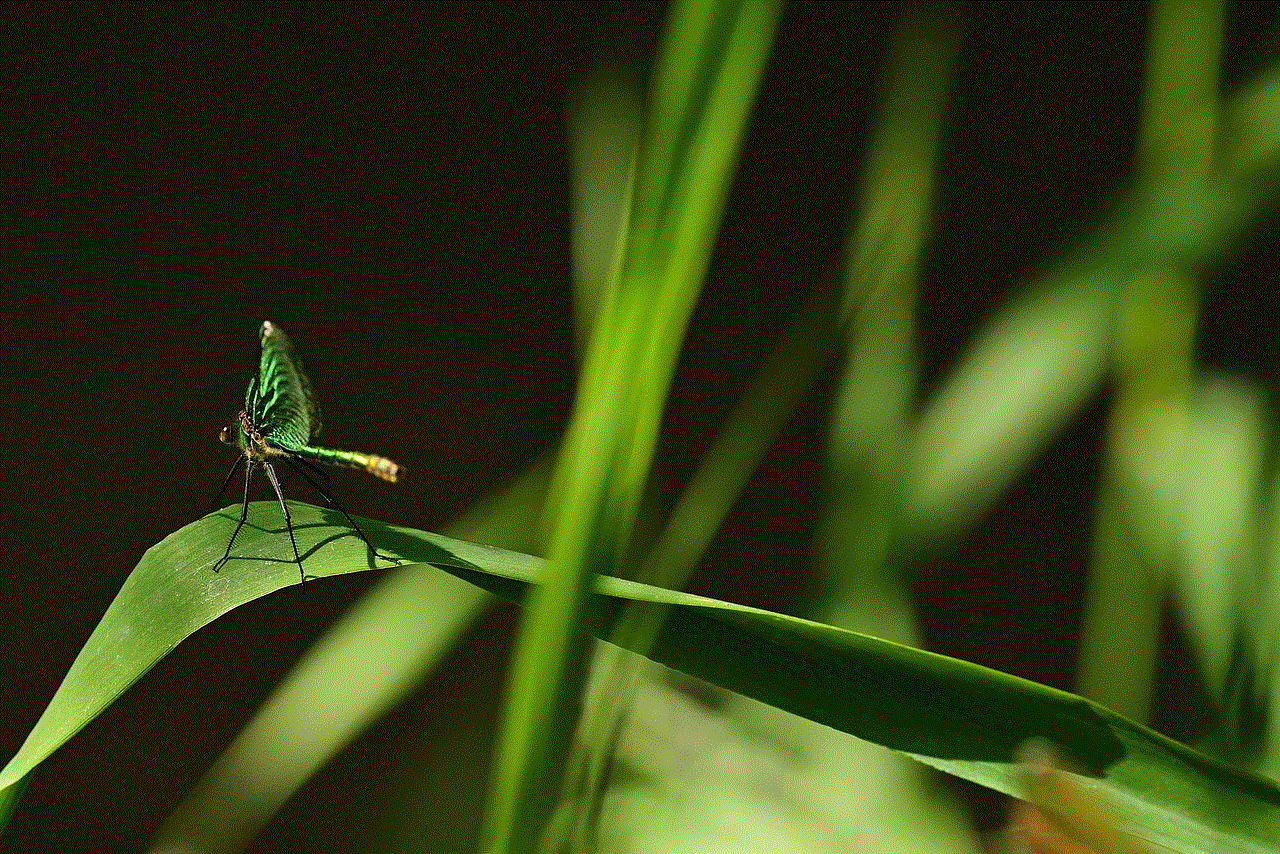 Dragon-Fly Green