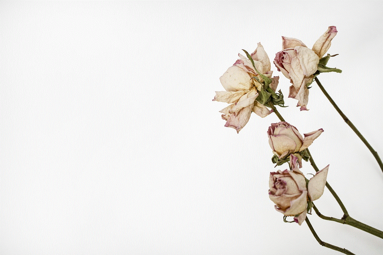 Roses Free Wallpaper
