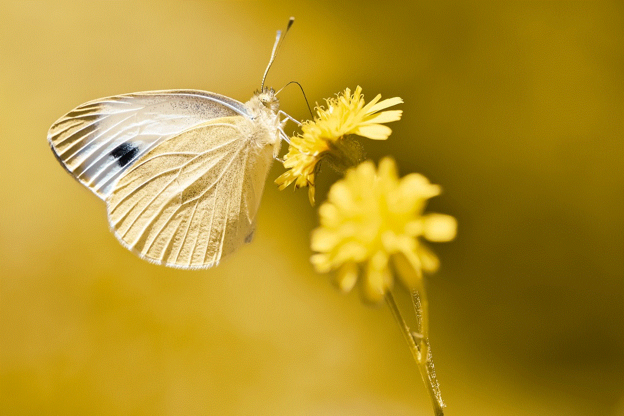 White Ling Butterfly