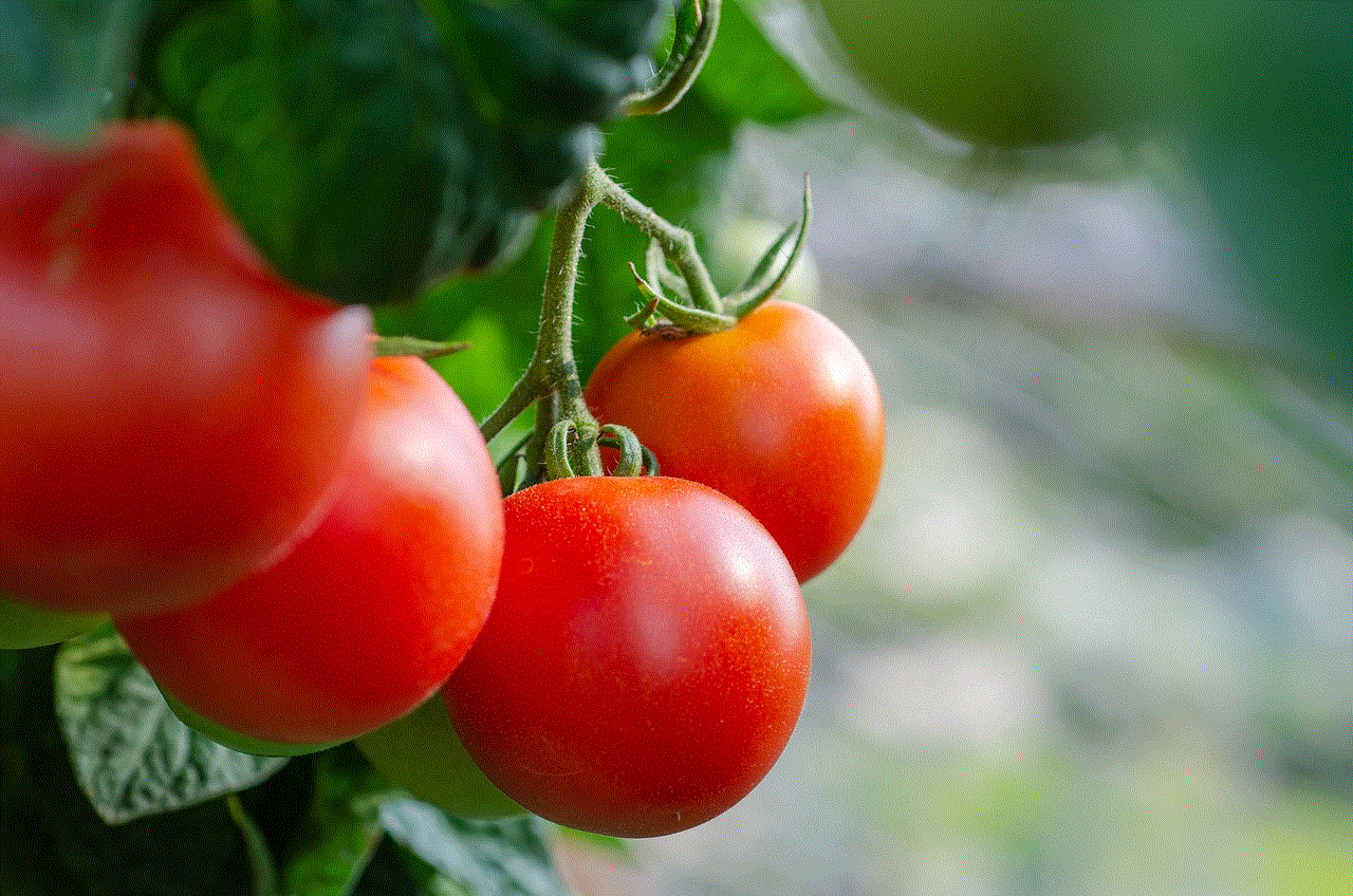 Tomatoes Fresh