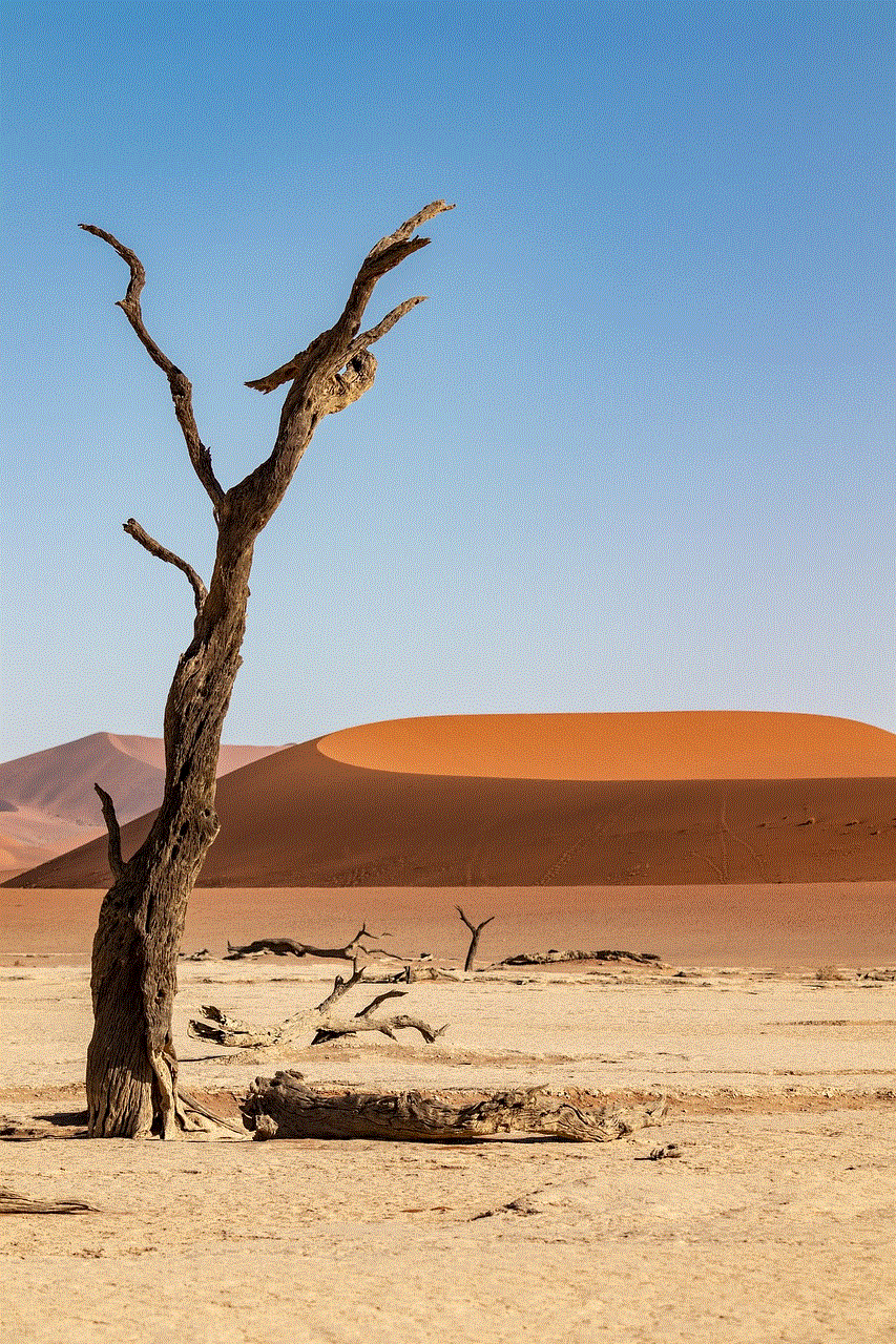 Namibia Desert