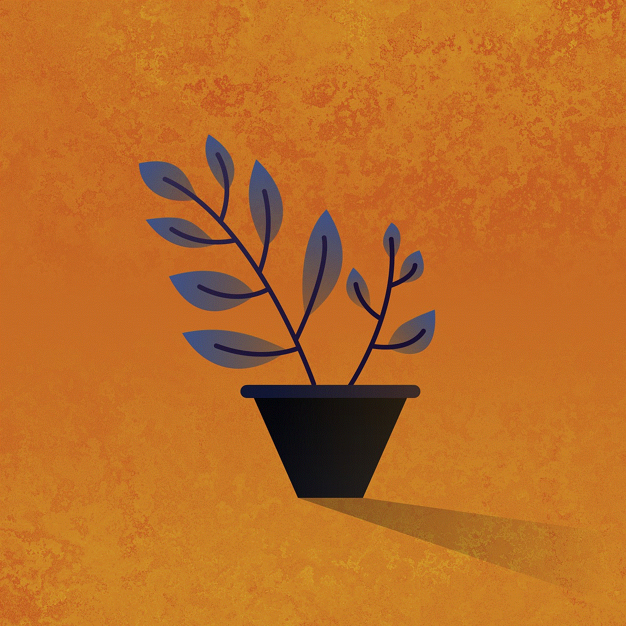 Plant Plant Pot