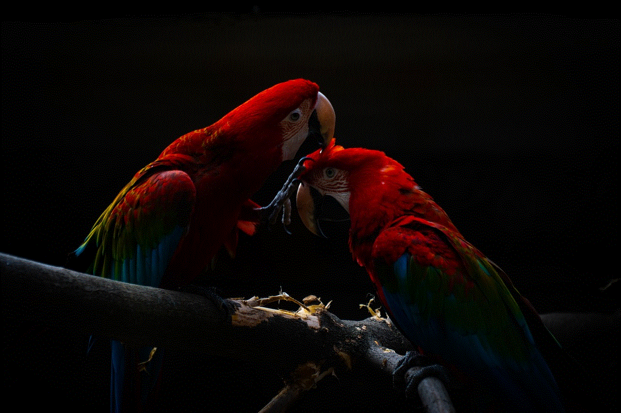 Parrot Macaw