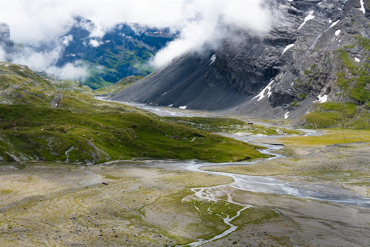 Alpine Mountain Stream