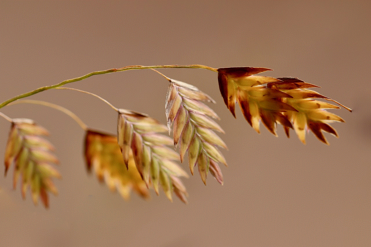 North Sea Oats Oats