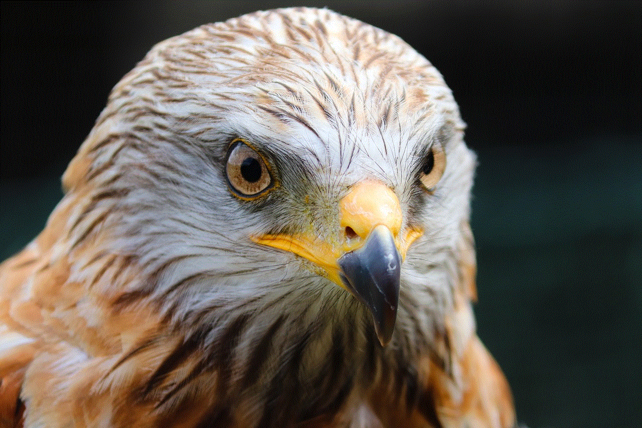 Buzzard Desert Buzzard