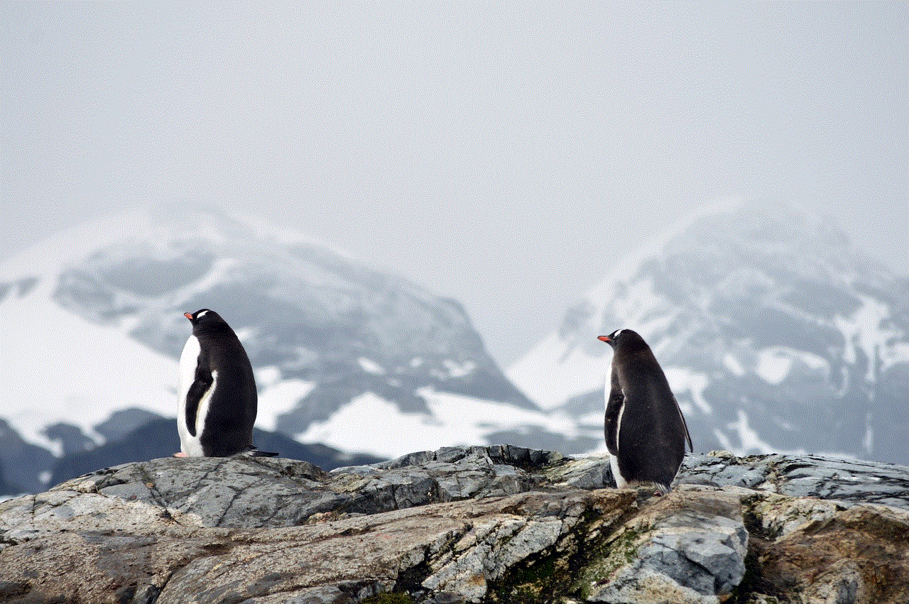 Penguins Mountains