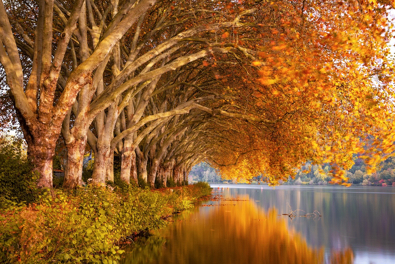 Fall Lake Fall Lake