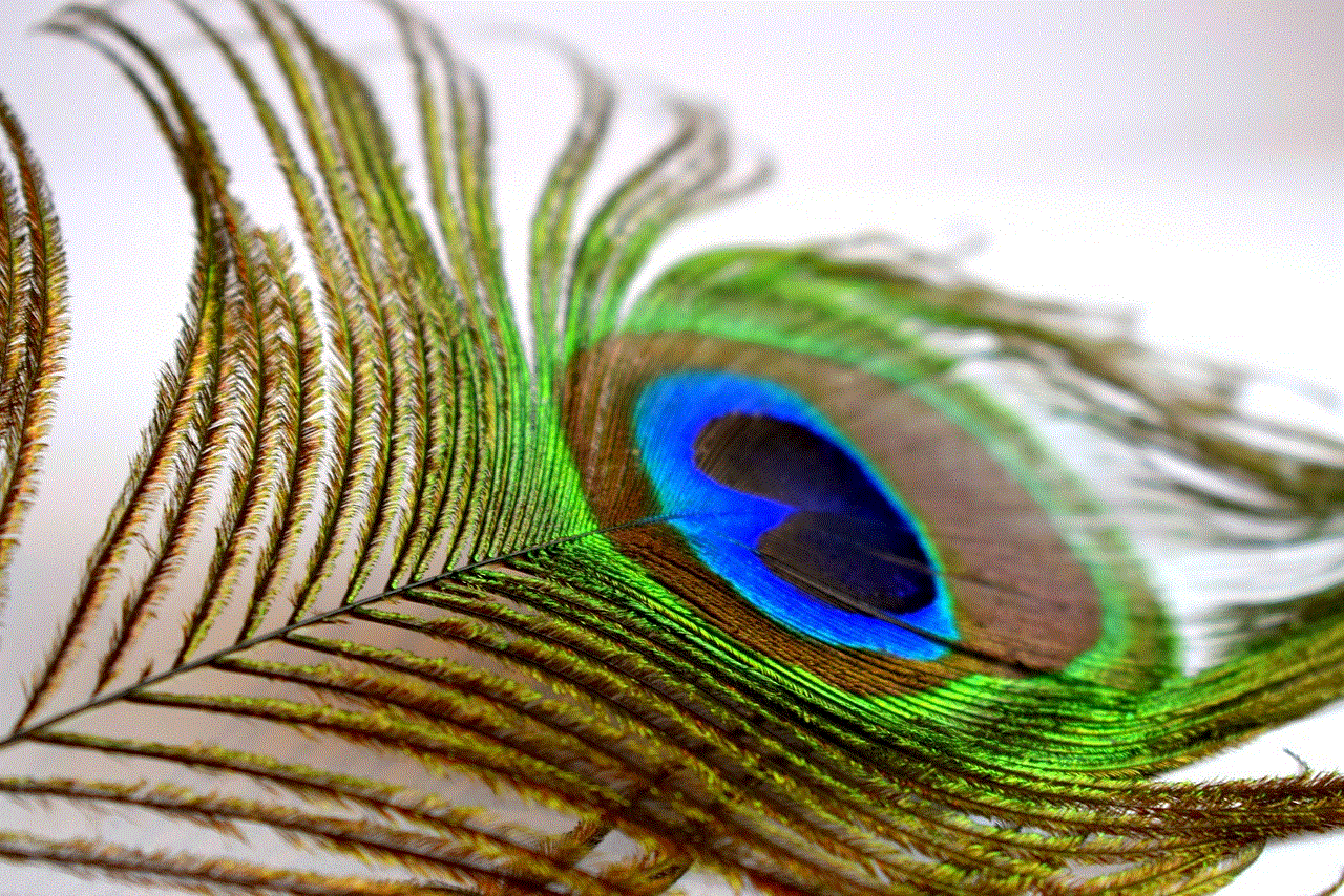 Peacock Feathers