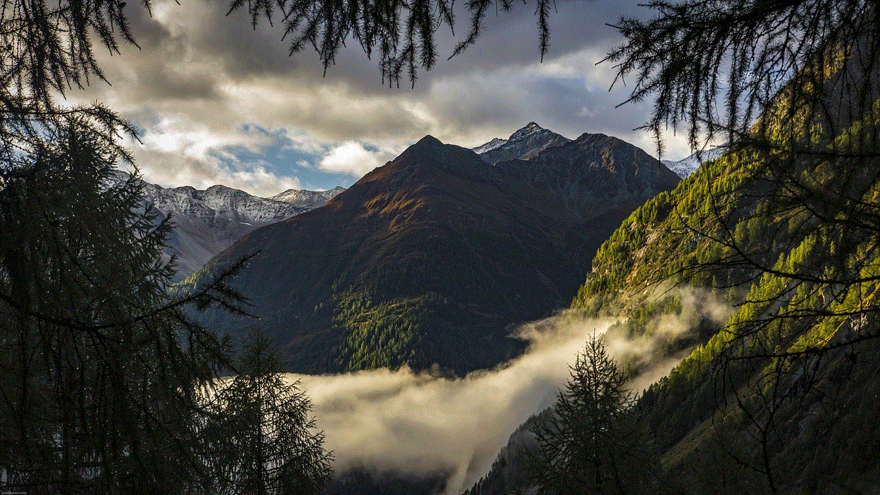 Mountains Fog