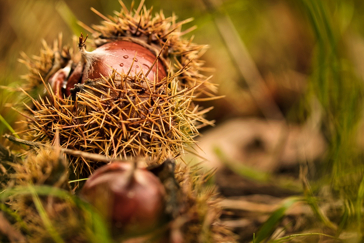Chestnut Autumn