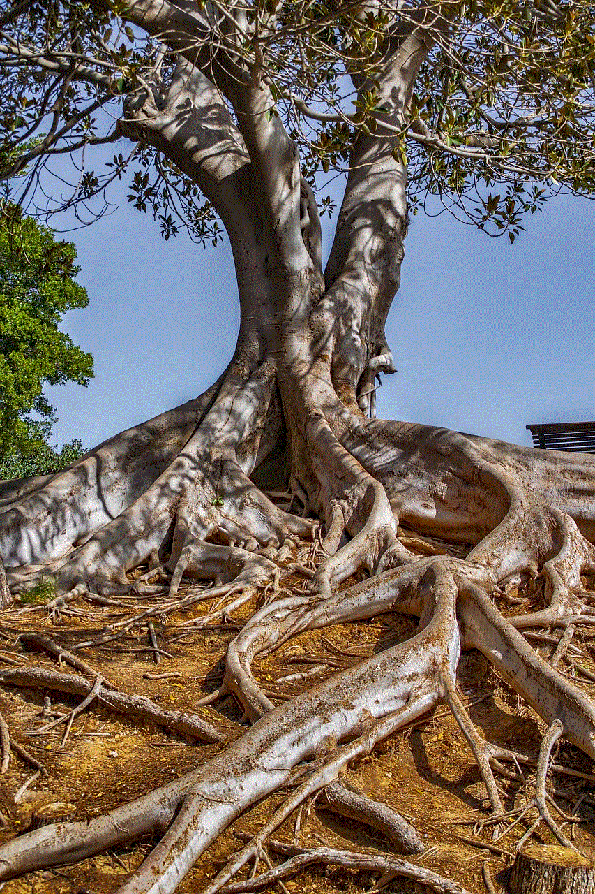 Landscape Tree