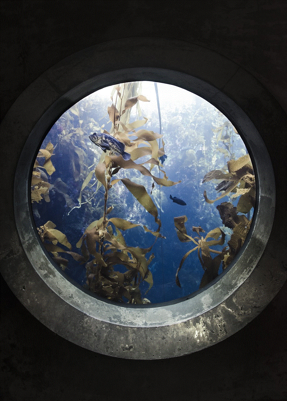 Portal Fish