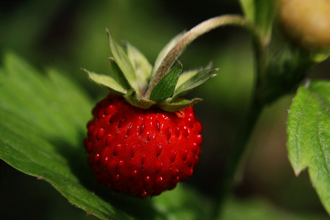 Wild Strawberry Strawberry