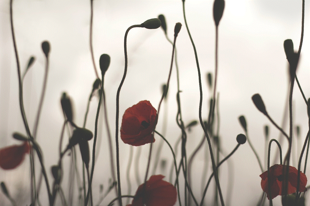 Poppy Against Poppy Against