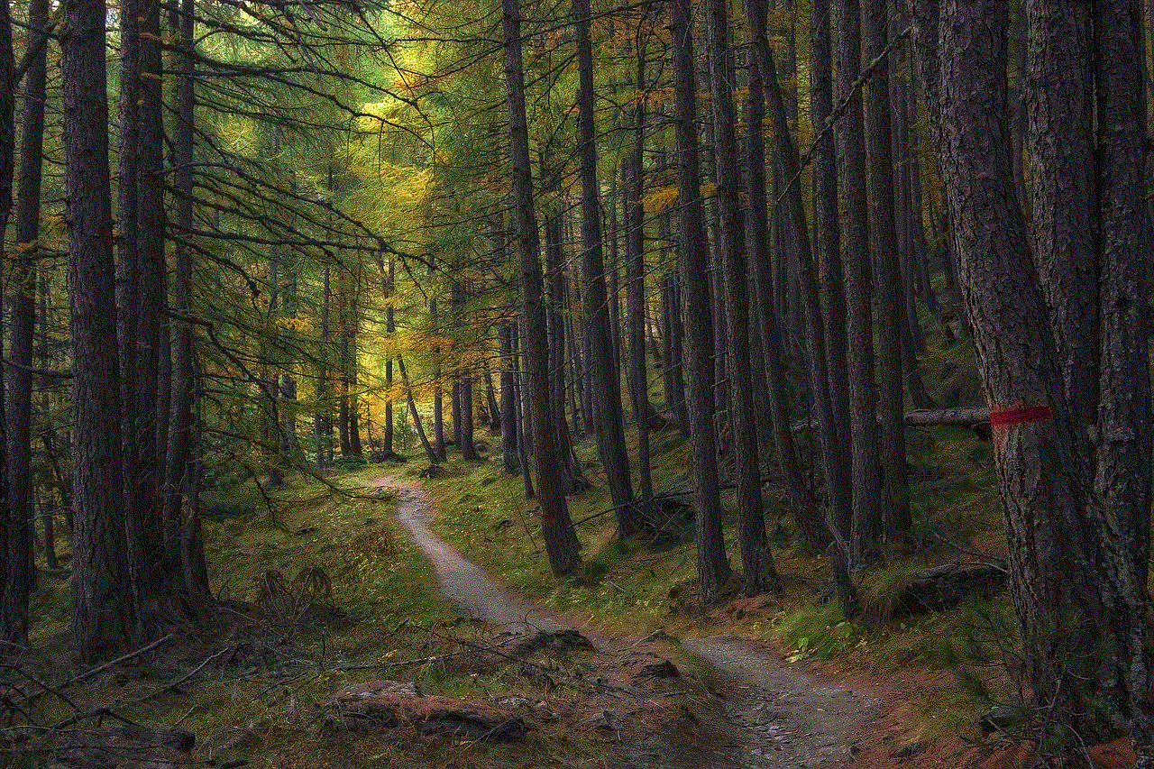 Trail Trees