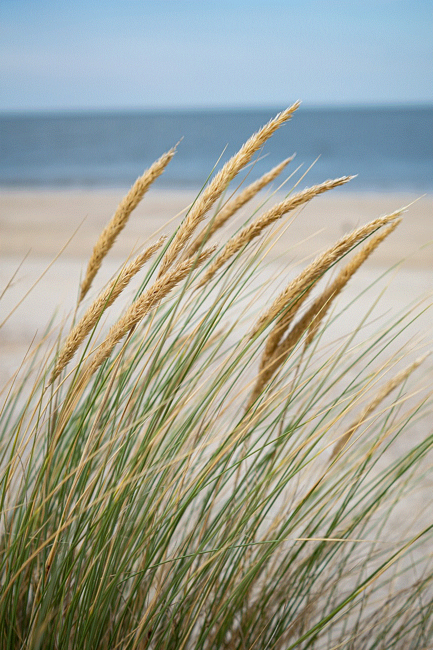 Sea Grass