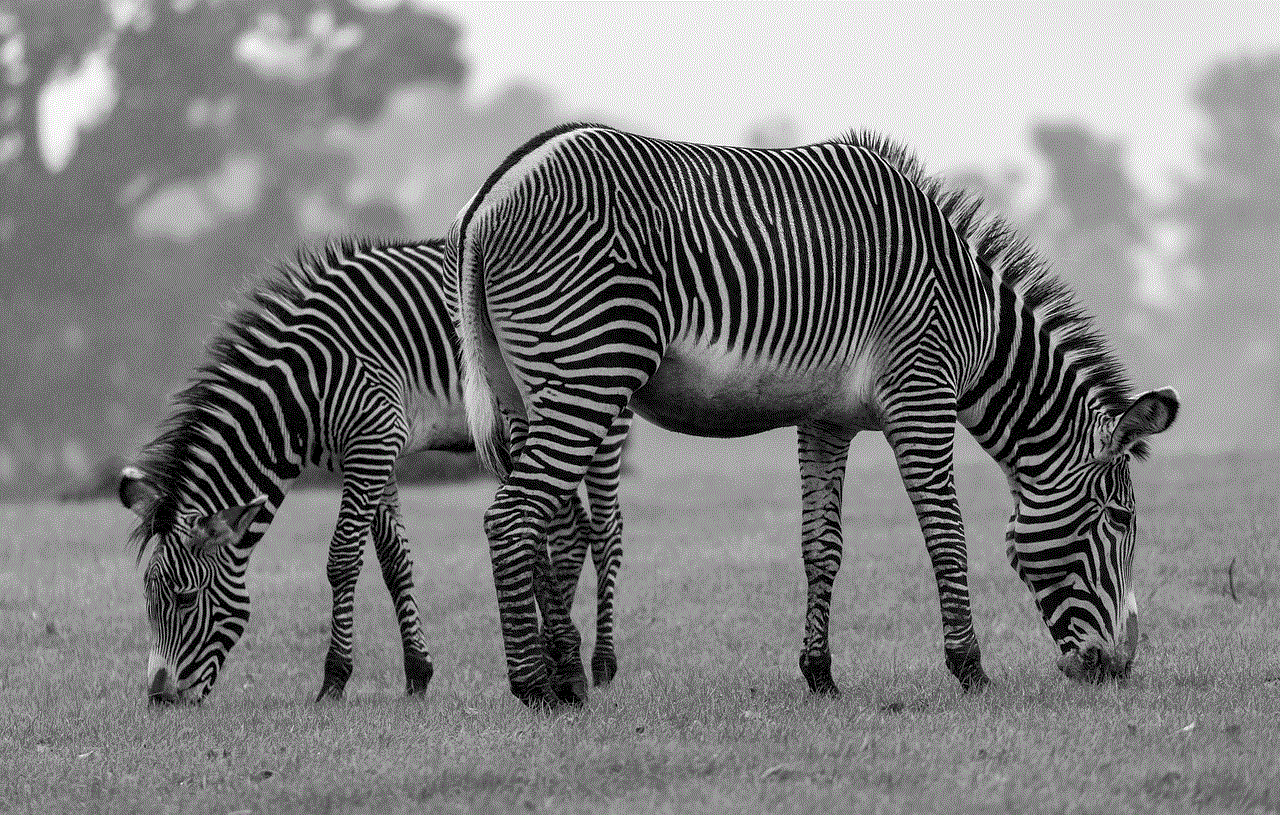 Zebra Stripes