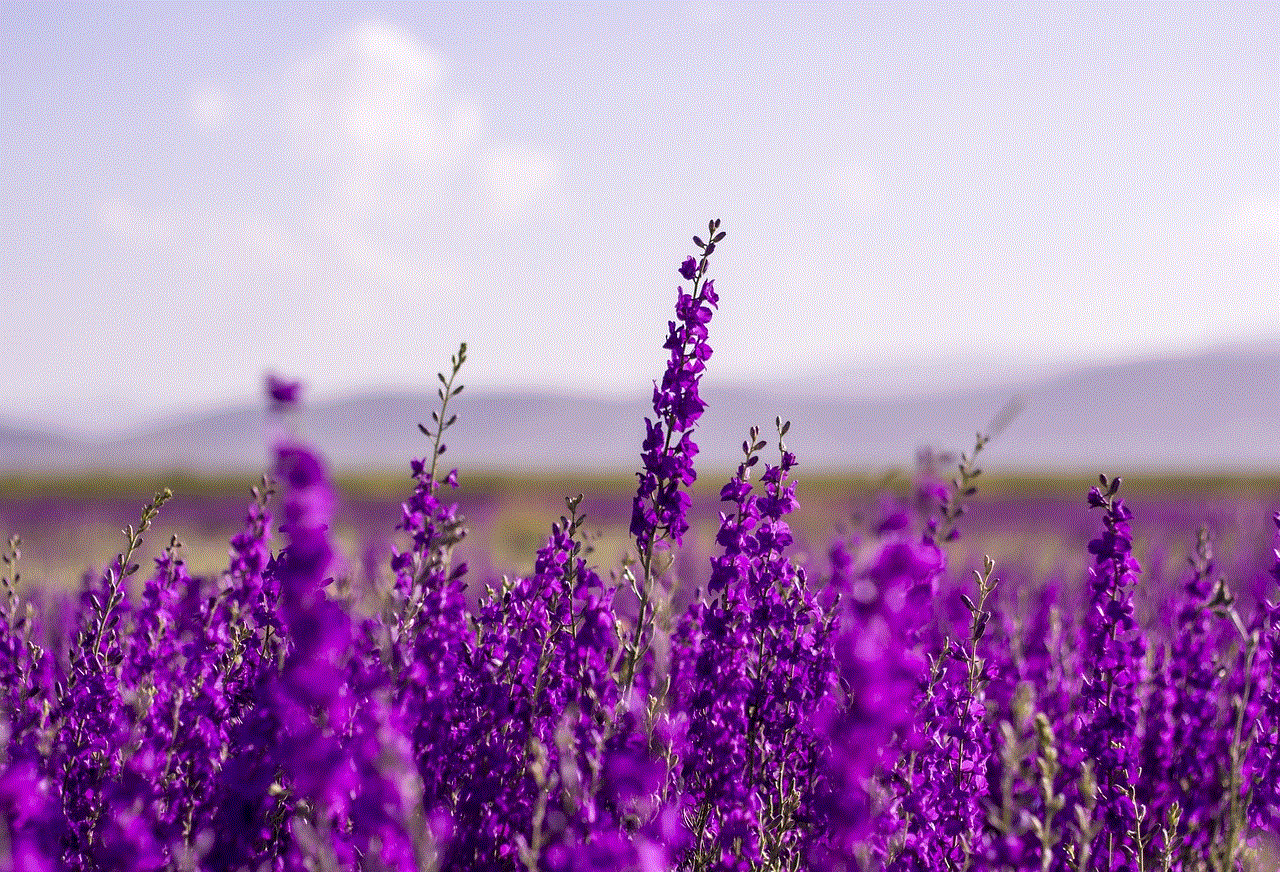 Flowers Purple