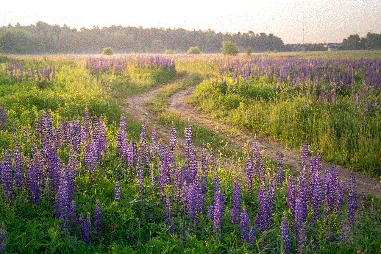 Field Road