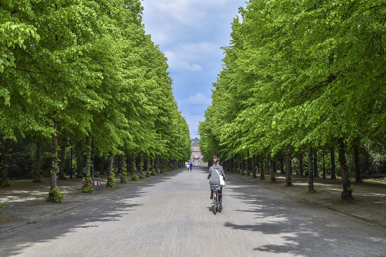 Avenue Trees