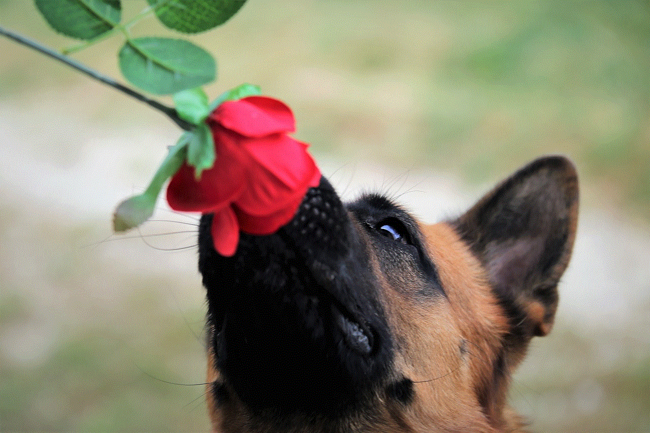 Red Rose Dog