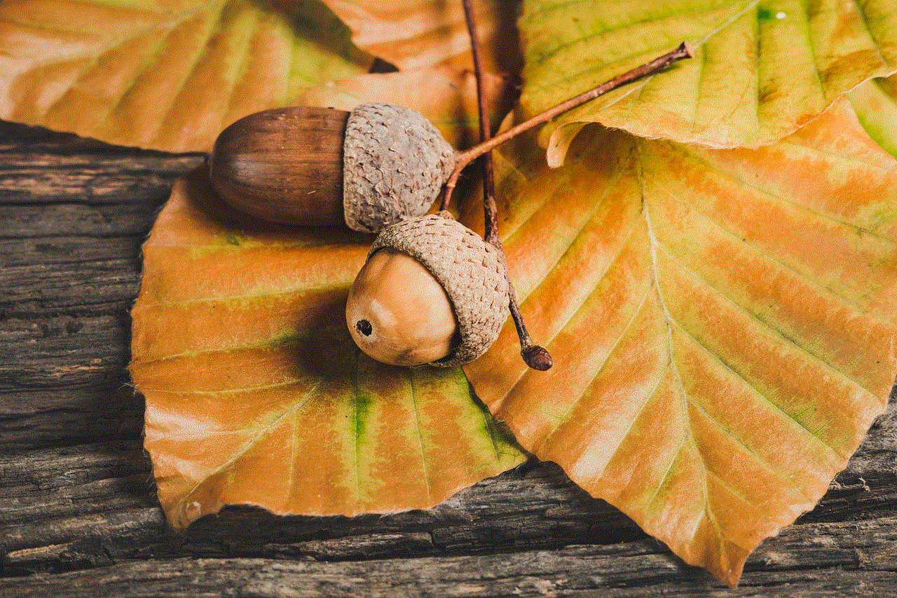 Acorns Leaves