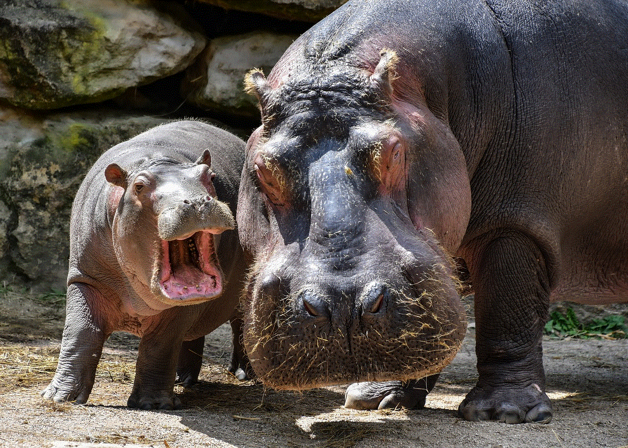 Hippopotamus Hippo